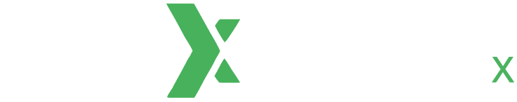 LDX Learning & Development X